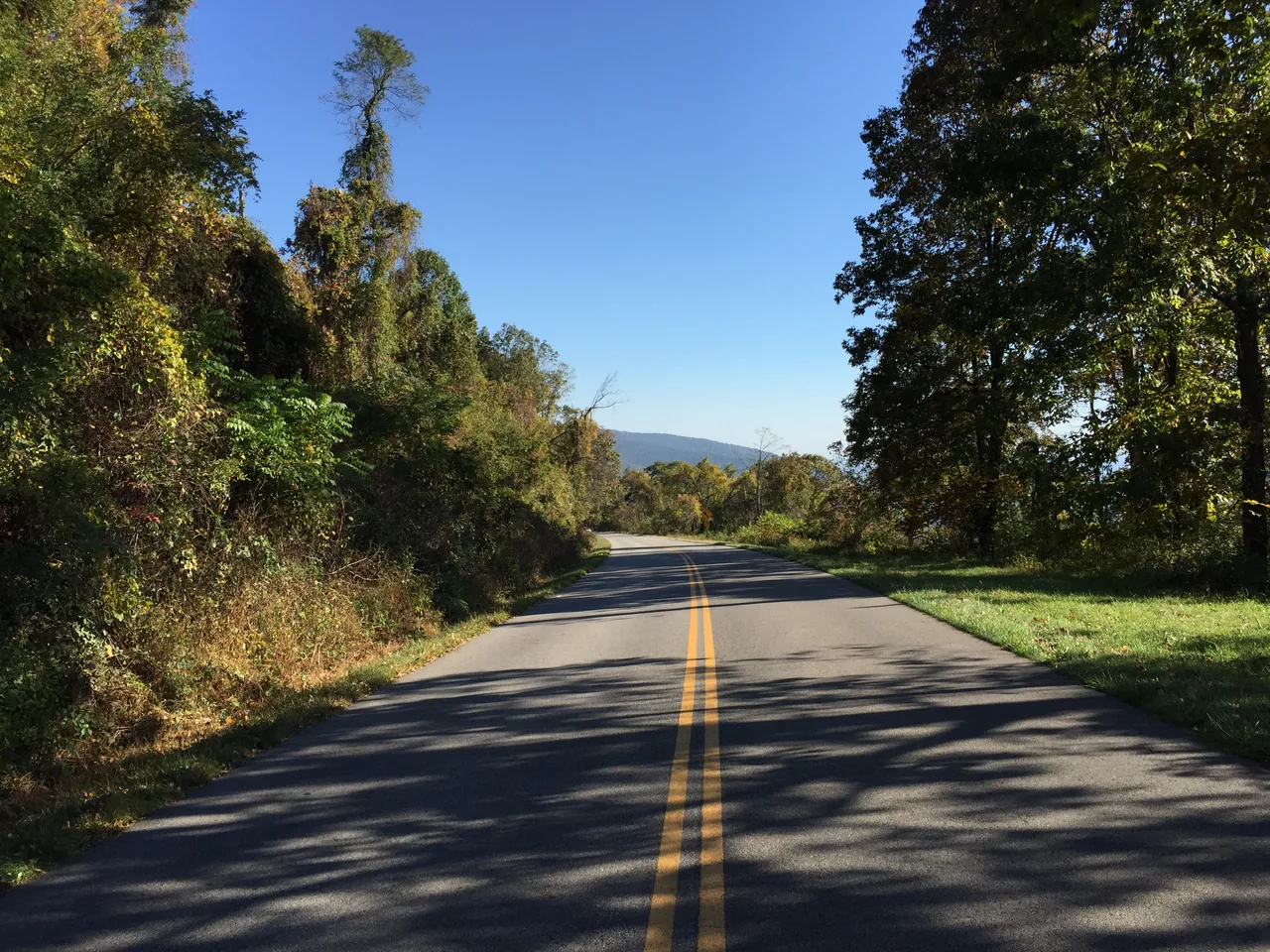 The Blue Ridge Parkway winding through autumn trees in Nelson County